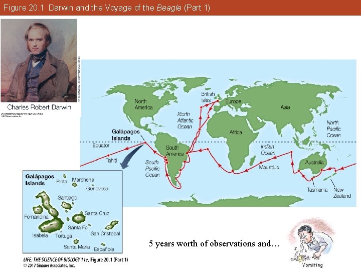 Figure 20. 1 Darwin and the Voyage of the Beagle (Part 1) 5 years