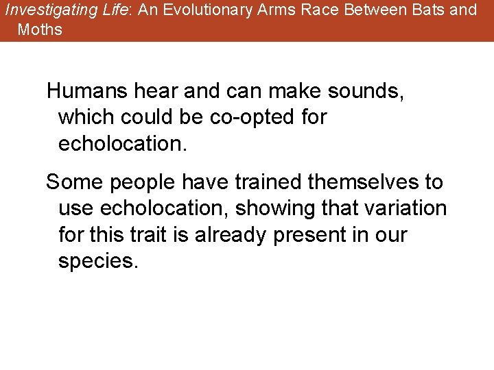 Investigating Life: An Evolutionary Arms Race Between Bats and Moths Humans hear and can