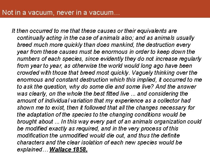 Not in a vacuum, never in a vacuum… It then occurred to me that