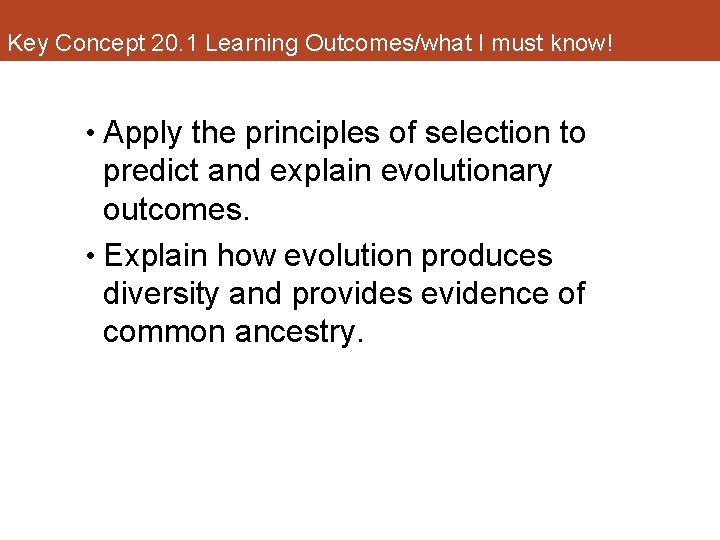 Key Concept 20. 1 Learning Outcomes/what I must know! • Apply the principles of