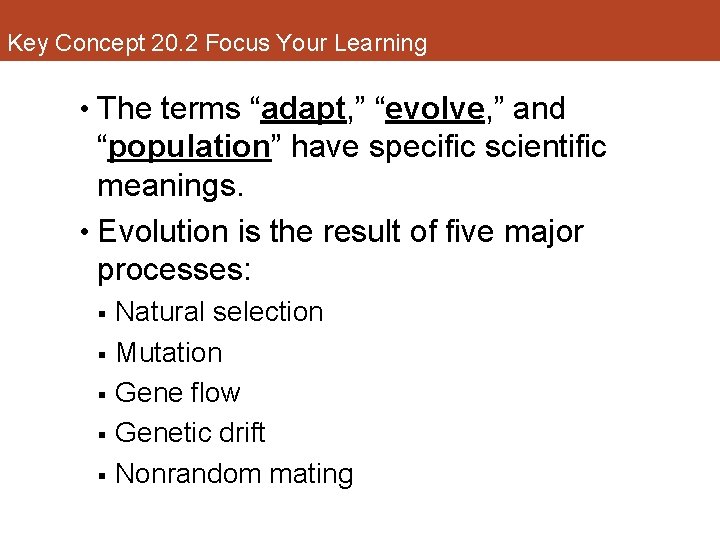 Key Concept 20. 2 Focus Your Learning • The terms “adapt, ” “evolve, ”