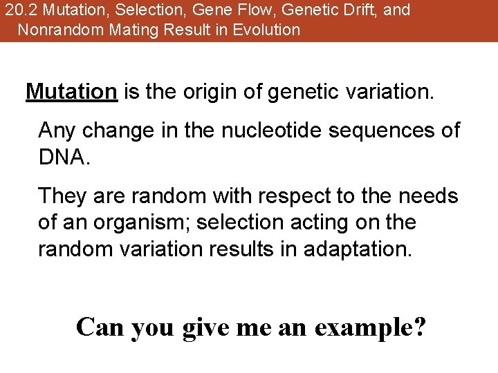 20. 2 Mutation, Selection, Gene Flow, Genetic Drift, and Nonrandom Mating Result in Evolution