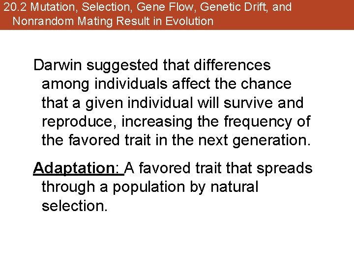 20. 2 Mutation, Selection, Gene Flow, Genetic Drift, and Nonrandom Mating Result in Evolution