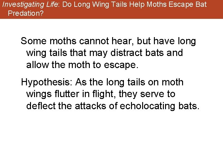 Investigating Life: Do Long Wing Tails Help Moths Escape Bat Predation? Some moths cannot