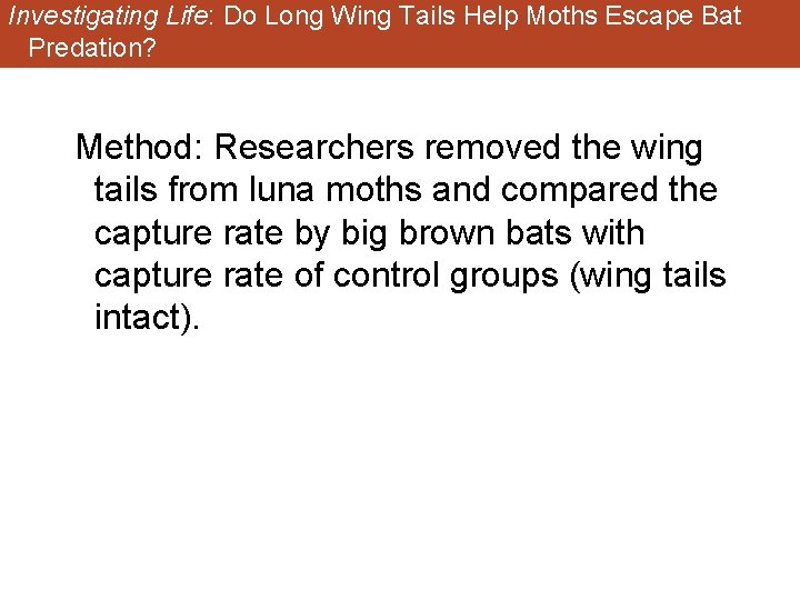 Investigating Life: Do Long Wing Tails Help Moths Escape Bat Predation? Method: Researchers removed