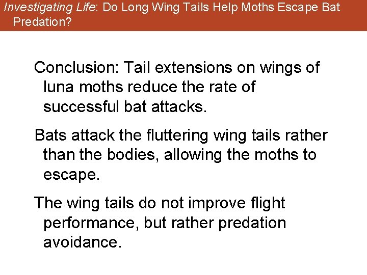 Investigating Life: Do Long Wing Tails Help Moths Escape Bat Predation? Conclusion: Tail extensions