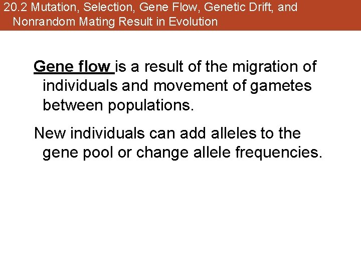 20. 2 Mutation, Selection, Gene Flow, Genetic Drift, and Nonrandom Mating Result in Evolution