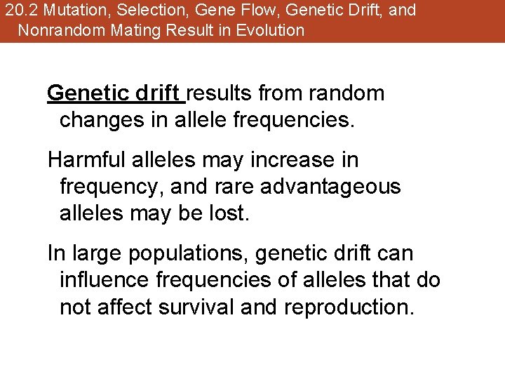 20. 2 Mutation, Selection, Gene Flow, Genetic Drift, and Nonrandom Mating Result in Evolution