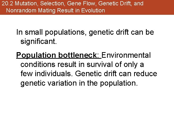 20. 2 Mutation, Selection, Gene Flow, Genetic Drift, and Nonrandom Mating Result in Evolution