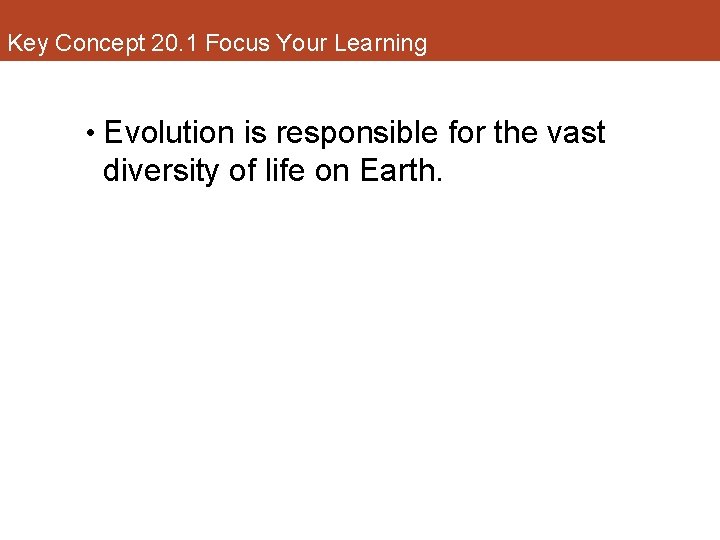 Key Concept 20. 1 Focus Your Learning • Evolution is responsible for the vast
