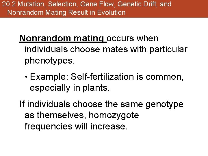 20. 2 Mutation, Selection, Gene Flow, Genetic Drift, and Nonrandom Mating Result in Evolution