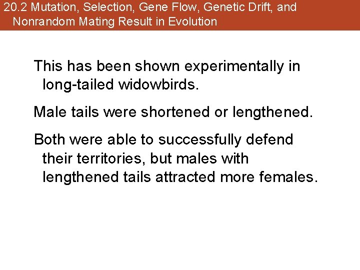 20. 2 Mutation, Selection, Gene Flow, Genetic Drift, and Nonrandom Mating Result in Evolution