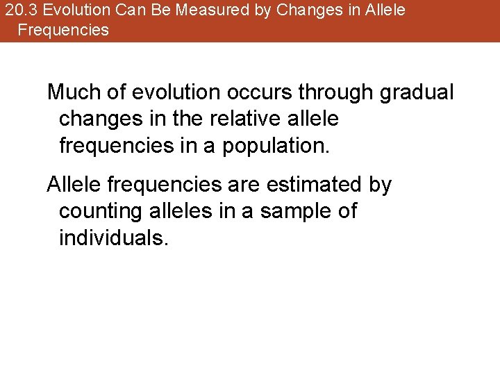 20. 3 Evolution Can Be Measured by Changes in Allele Frequencies Much of evolution