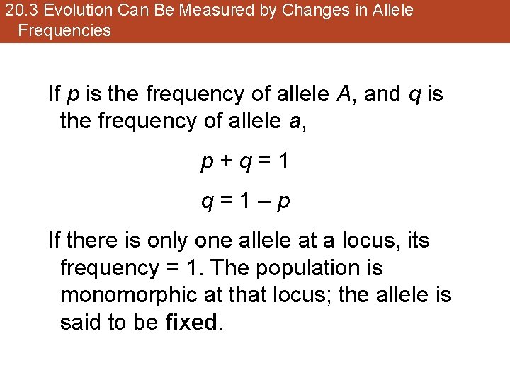 20. 3 Evolution Can Be Measured by Changes in Allele Frequencies If p is