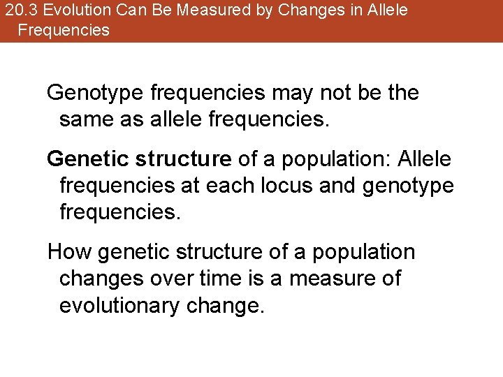 20. 3 Evolution Can Be Measured by Changes in Allele Frequencies Genotype frequencies may