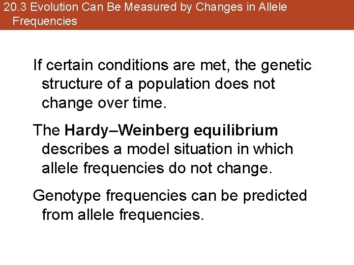 20. 3 Evolution Can Be Measured by Changes in Allele Frequencies If certain conditions