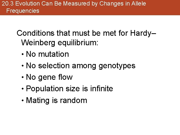 20. 3 Evolution Can Be Measured by Changes in Allele Frequencies Conditions that must