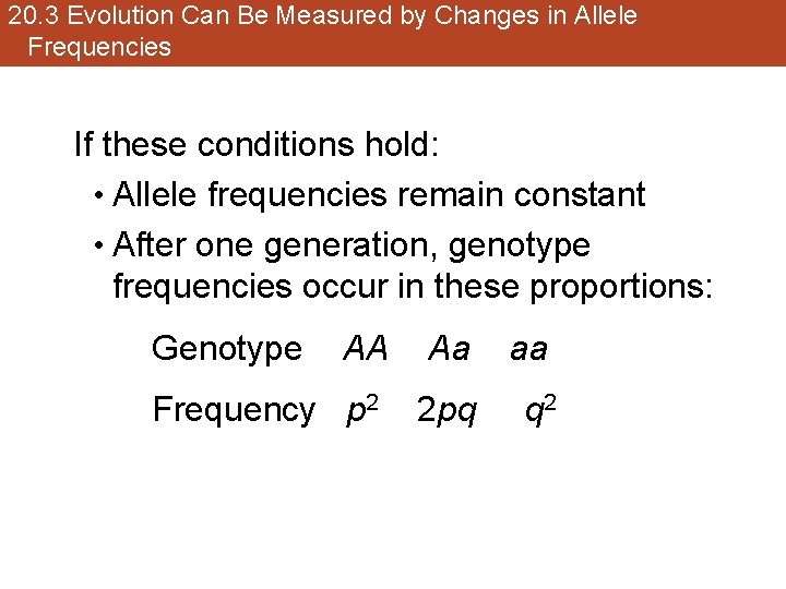 20. 3 Evolution Can Be Measured by Changes in Allele Frequencies If these conditions
