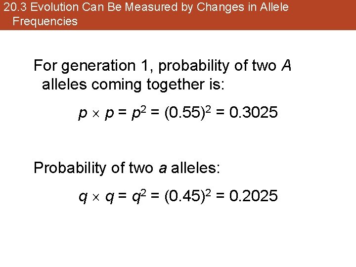 20. 3 Evolution Can Be Measured by Changes in Allele Frequencies For generation 1,
