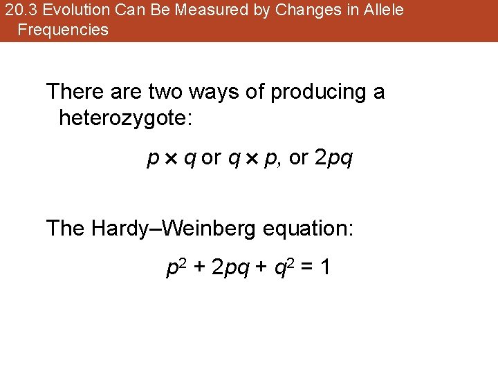 20. 3 Evolution Can Be Measured by Changes in Allele Frequencies There are two