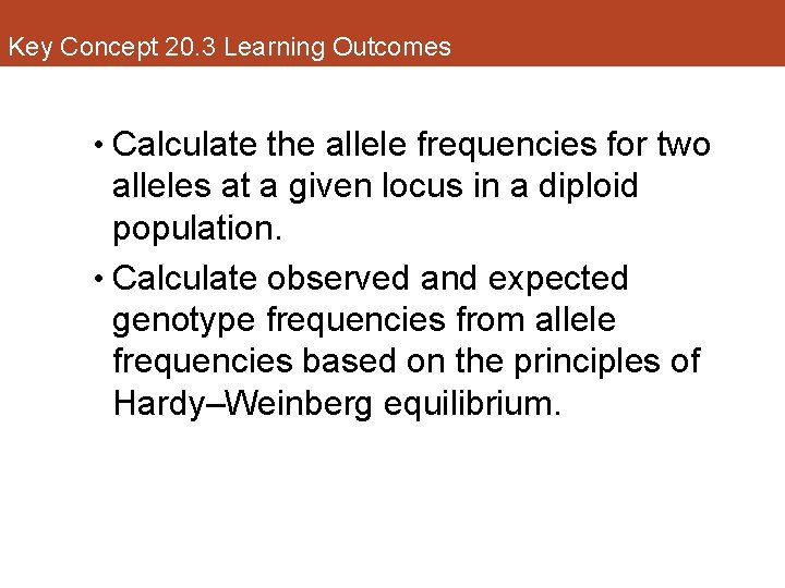Key Concept 20. 3 Learning Outcomes • Calculate the allele frequencies for two alleles