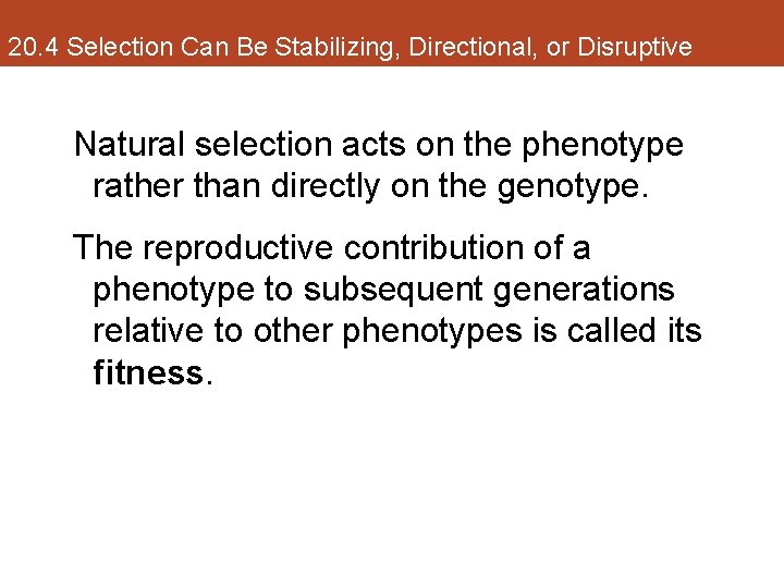 20. 4 Selection Can Be Stabilizing, Directional, or Disruptive Natural selection acts on the