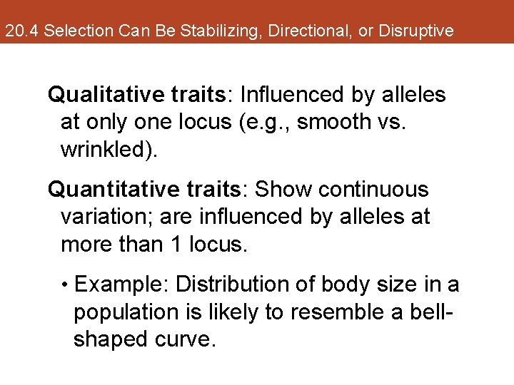 20. 4 Selection Can Be Stabilizing, Directional, or Disruptive Qualitative traits: Influenced by alleles