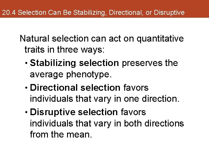 20. 4 Selection Can Be Stabilizing, Directional, or Disruptive Natural selection can act on