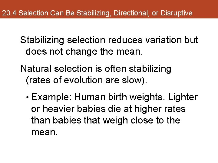 20. 4 Selection Can Be Stabilizing, Directional, or Disruptive Stabilizing selection reduces variation but