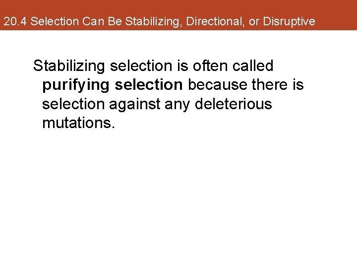 20. 4 Selection Can Be Stabilizing, Directional, or Disruptive Stabilizing selection is often called