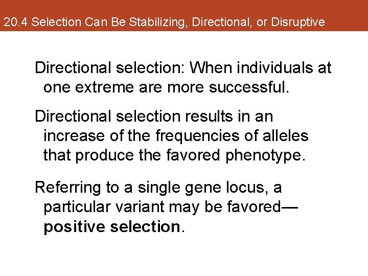 20. 4 Selection Can Be Stabilizing, Directional, or Disruptive Directional selection: When individuals at