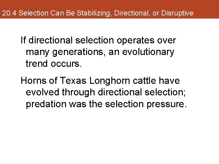 20. 4 Selection Can Be Stabilizing, Directional, or Disruptive If directional selection operates over