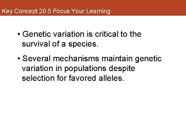 Key Concept 20. 5 Focus Your Learning • Genetic variation is critical to the