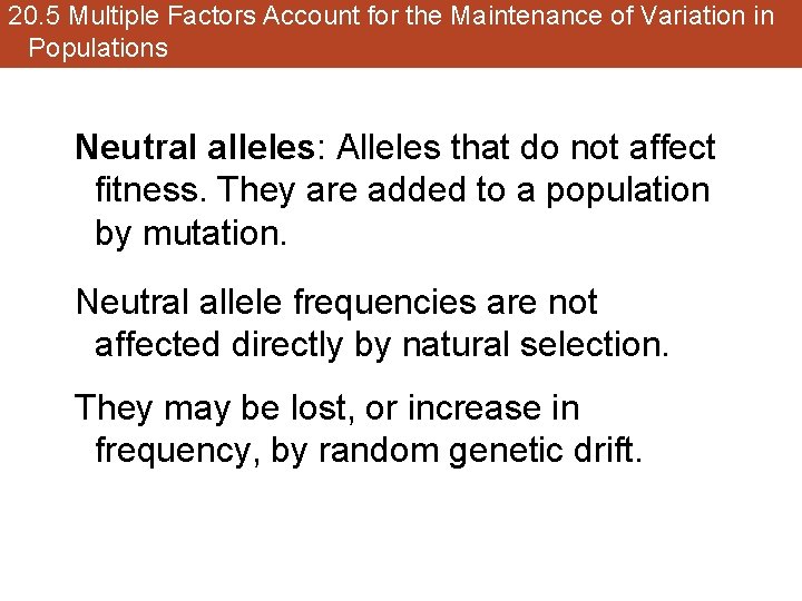 20. 5 Multiple Factors Account for the Maintenance of Variation in Populations Neutral alleles: