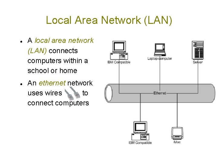Local Area Network (LAN) ● ● A local area network (LAN) connects computers within