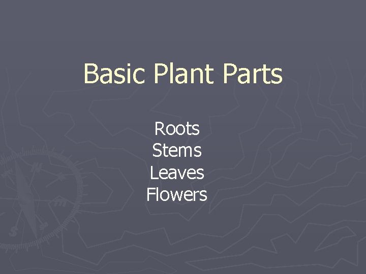 Basic Plant Parts Roots Stems Leaves Flowers 