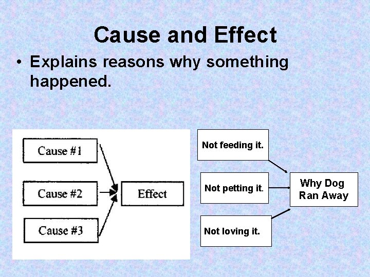Cause and Effect • Explains reasons why something happened. Not feeding it. Not petting