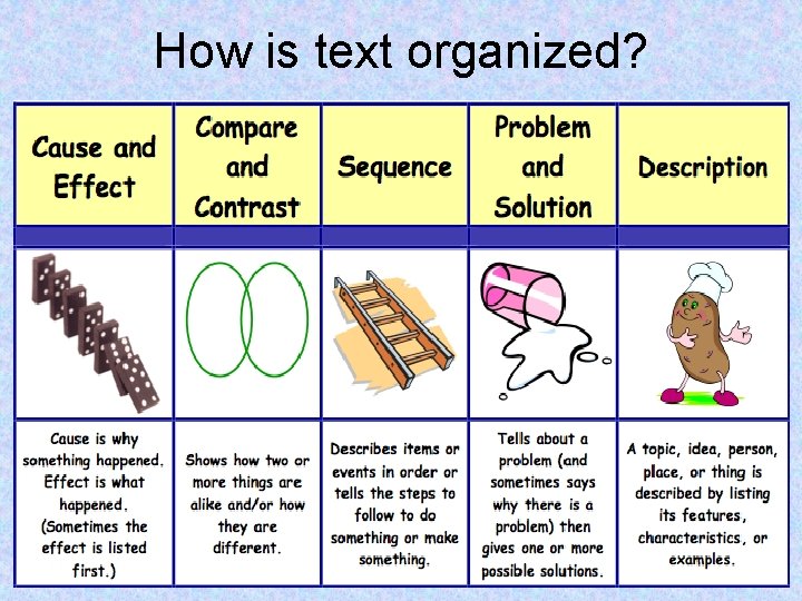 How is text organized? 