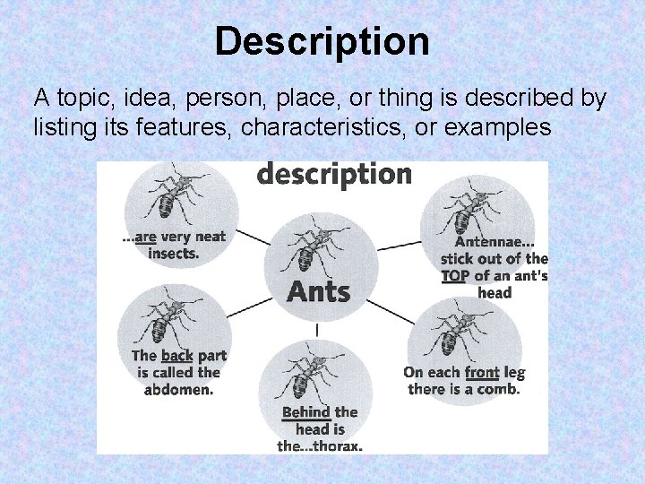 Description A topic, idea, person, place, or thing is described by listing its features,