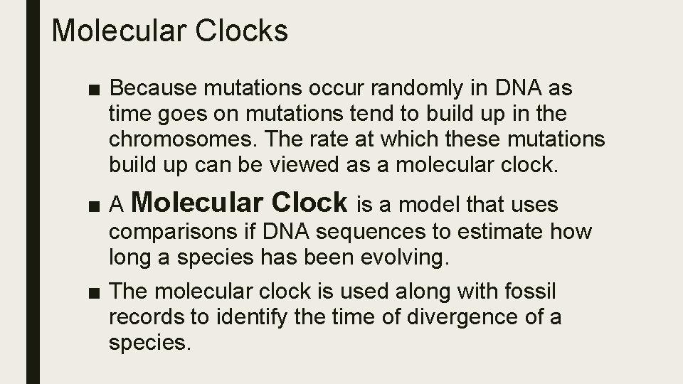 Molecular Clocks ■ Because mutations occur randomly in DNA as time goes on mutations