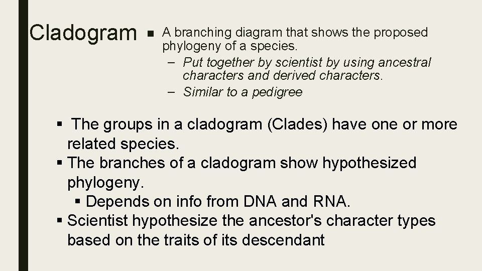 Cladogram ■ A branching diagram that shows the proposed phylogeny of a species. –