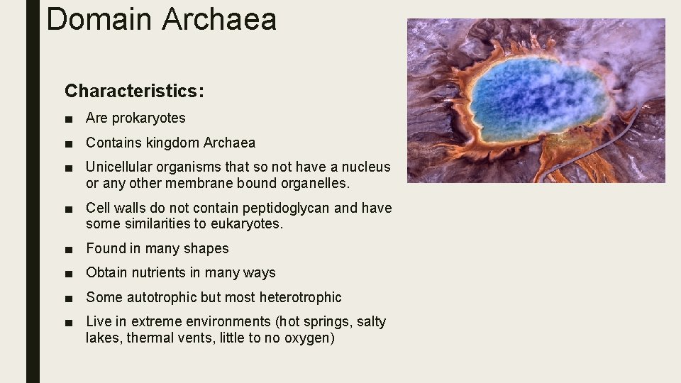 Domain Archaea Characteristics: ■ Are prokaryotes ■ Contains kingdom Archaea ■ Unicellular organisms that