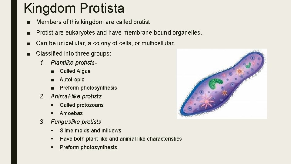 Kingdom Protista ■ Members of this kingdom are called protist. ■ Protist are eukaryotes