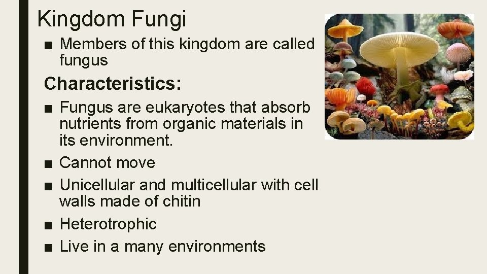 Kingdom Fungi ■ Members of this kingdom are called fungus Characteristics: ■ Fungus are