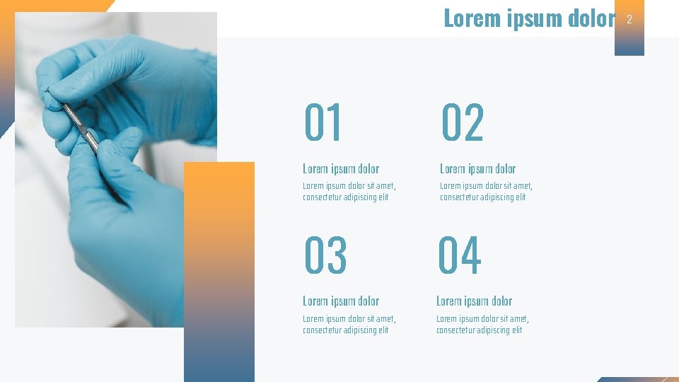 Lorem ipsum dolor 01 02 Lorem ipsum dolor sit amet, consectetur adipiscing elit 03