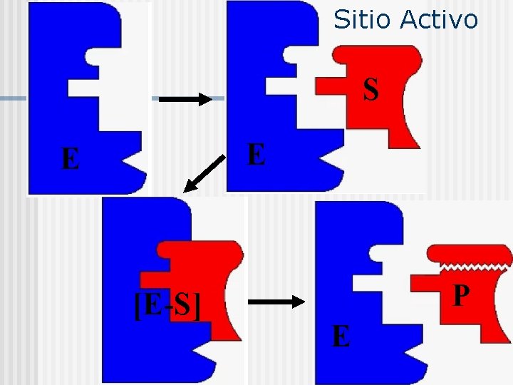 Sitio Activo S E E [E-S] P E 