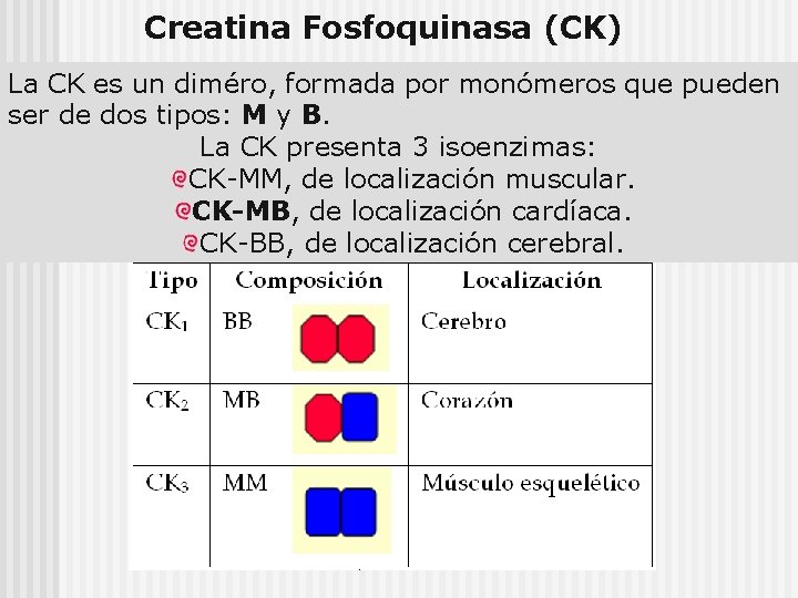 Creatina Fosfoquinasa (CK) La CK es un diméro, formada por monómeros que pueden ser