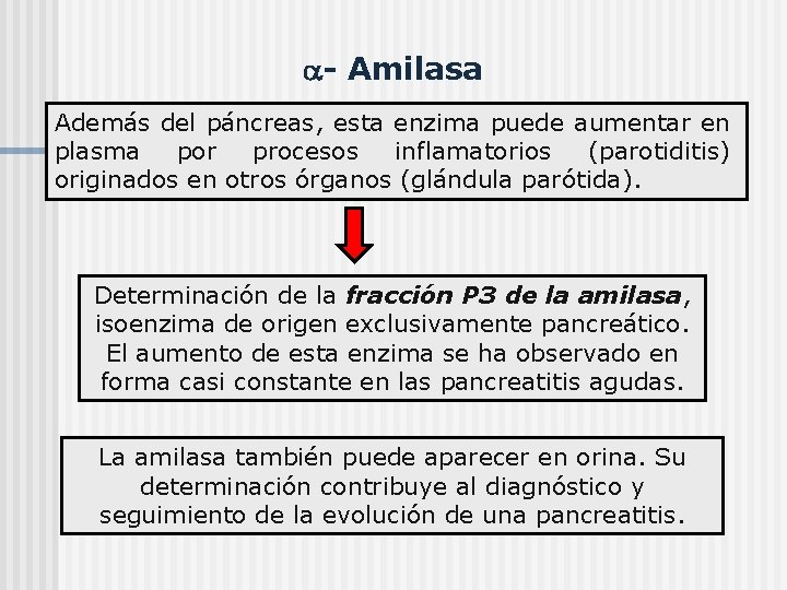  - Amilasa Además del páncreas, esta enzima puede aumentar en plasma por procesos