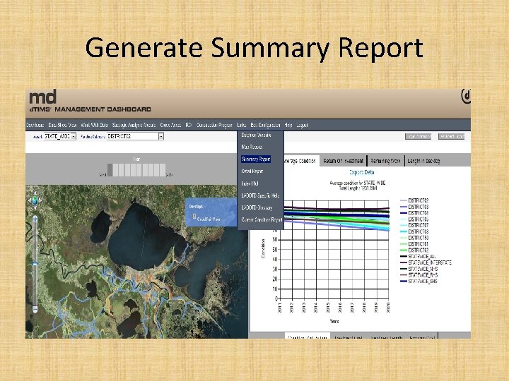 Generate Summary Report 