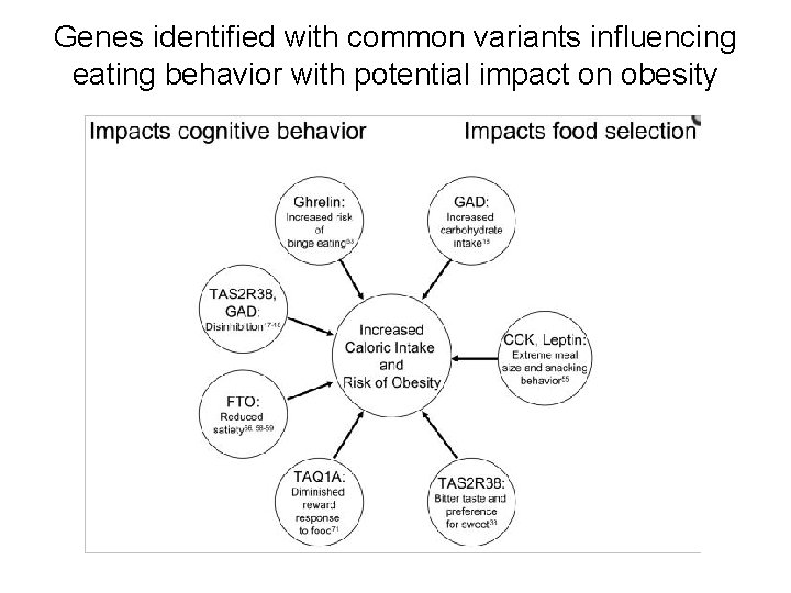Genes identified with common variants influencing eating behavior with potential impact on obesity 
